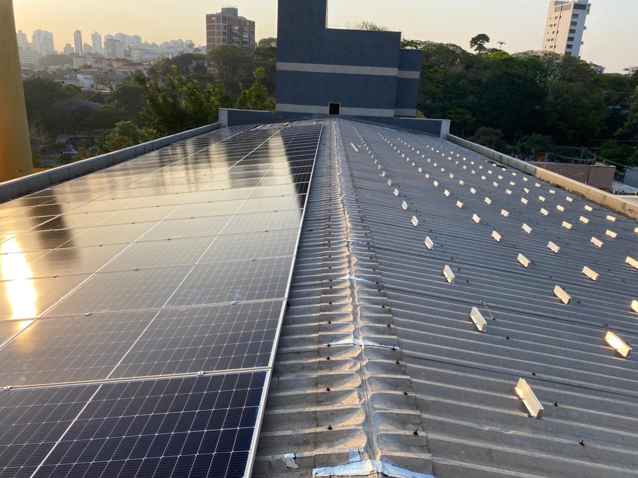 pastorinho 3-min.jpg