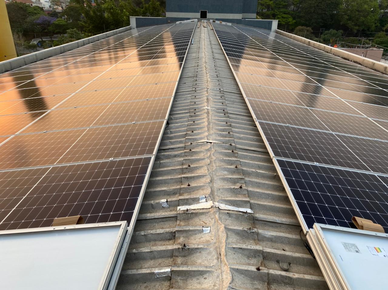 pastorinho 7-min.jpg