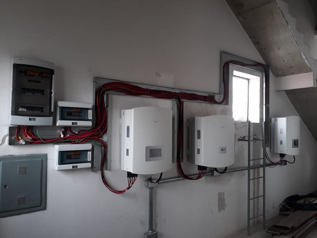 pastorinho 8-min.jpg